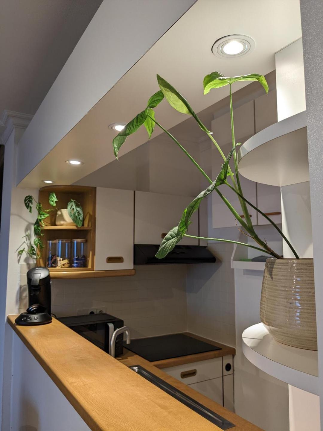 אוסטנדה Vista Linda, Leuk Appartement Vlak Bij Zeedijk En Strand מראה חיצוני תמונה